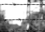 barbed wire in the concentration camp in black and white and the background blurred